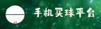(推荐) 手机买世界杯 - 2025正版中文站